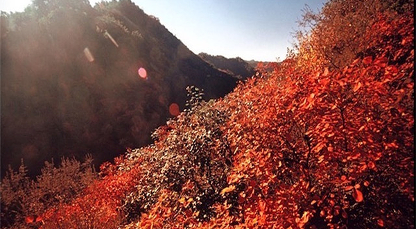 轿顶山红叶风景区