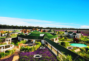 蓝调庄园水上乐园第 2 张图片