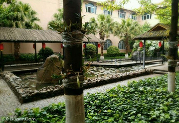 明熙森林温泉第 7 张图片