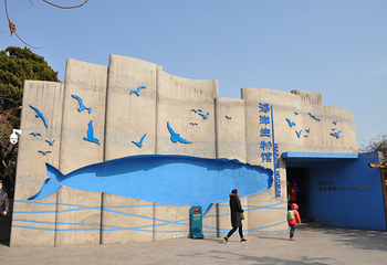 青岛水族馆-海洋生物馆第 9 张图片