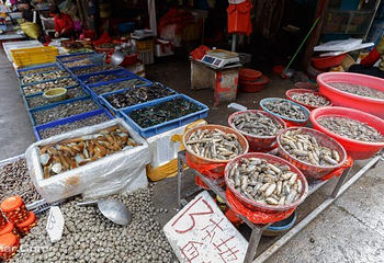 第八海鲜市场第 2 张图片