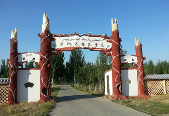 湿地古杨风景区第 8 张图片