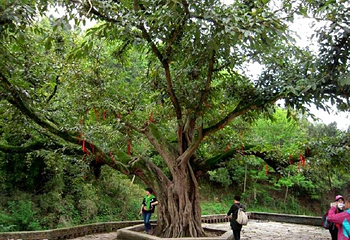 郪江古镇第 4 张图片
