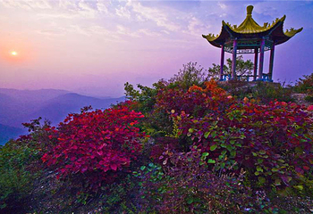 轿顶山红叶风景区第 5 张图片