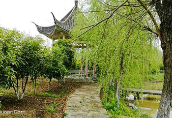 汤逊湖小田园第 1 张图片