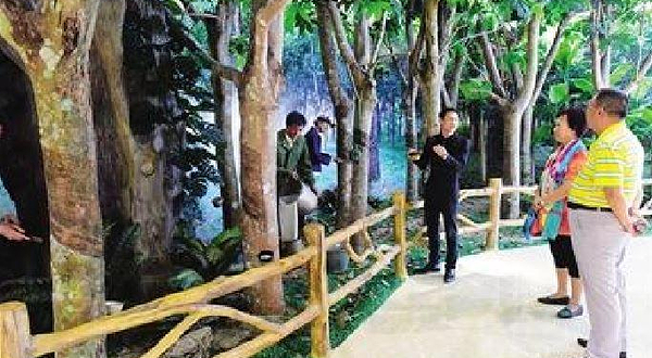 兴隆华侨橡胶博物馆