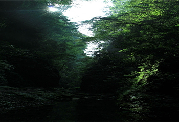 西河大峡谷第 24 张图片