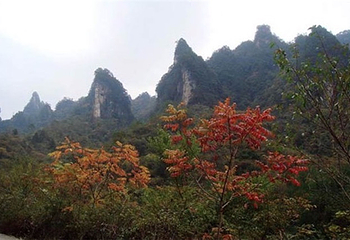 轿顶山红叶风景区第 2 张图片
