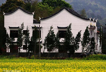 太原康培稻田公园第 26 张图片