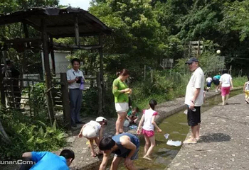 楚汉园生态农庄第 3 张图片