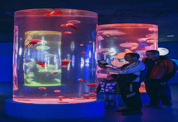 青岛水族馆第 9 张图片