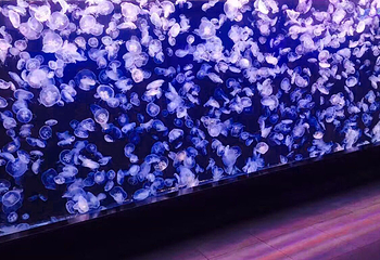梦幻水母馆第 18 张图片