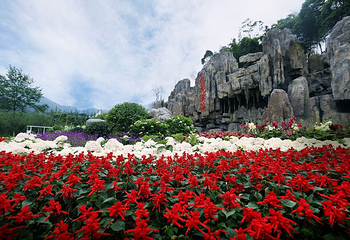 天府花溪谷第 46 张图片