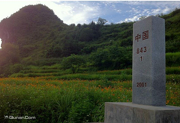 老木棉紫园第 11 张图片