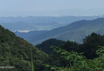 下塘野果园第 5 张图片