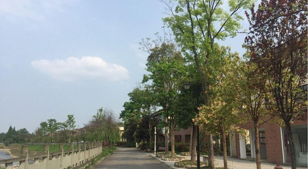 鹤鸣山崇孝温泉颐养中心