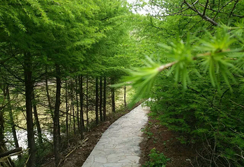 南天门文化旅游风景区第 34 张图片