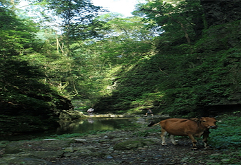 西河大峡谷第 21 张图片