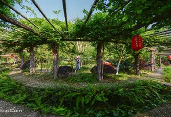 开州盛山植物园第 7 张图片