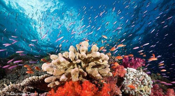 北斗星城极地海洋世界