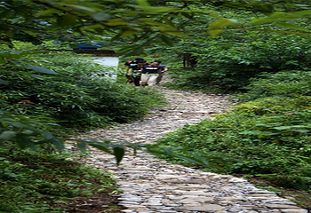 西河大峡谷第 16 张图片