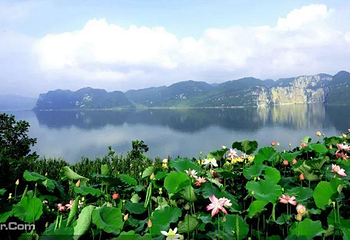 飞龙寨风景区第 5 张图片