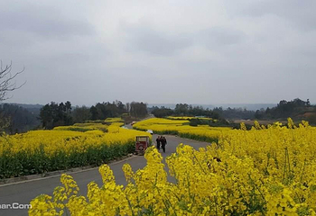 樱桃山旅游景区第 6 张图片