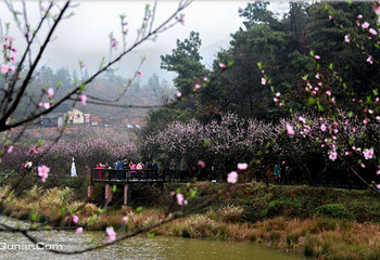 东鹜山第 7 张图片