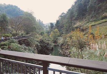 花果园湿地公园第 7 张图片