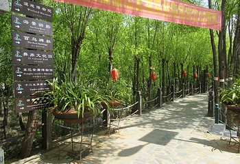 拉市海第 24 张图片