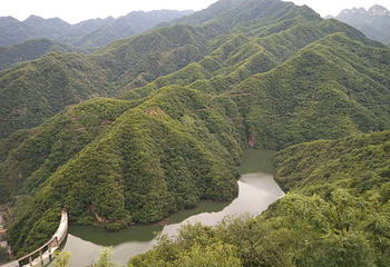 王屋山原始森林漂流第 3 张图片