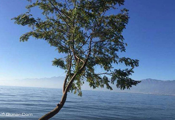 呈贡滇池生态湿地公园第 5 张图片