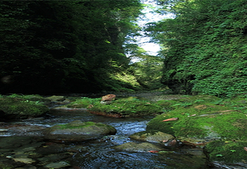 西河大峡谷第 23 张图片