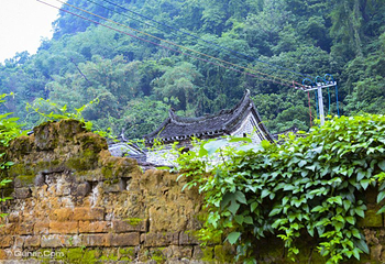 旧县村第 4 张图片