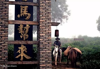 大益庄园第 16 张图片