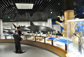 青岛水族馆-海洋生物馆第 3 张图片