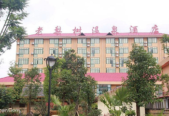 老梨树温泉第 5 张图片