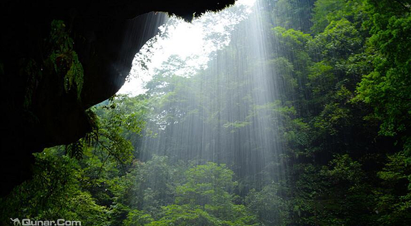 雅安周游卡（碧峰峡+周公山梦温泉）