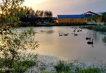 双龙湖湿地观鸟园第 8 张图片