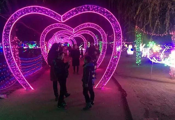 嵩县国际立体灯光节第 1 张图片