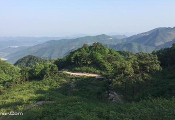 下塘野果园第 6 张图片