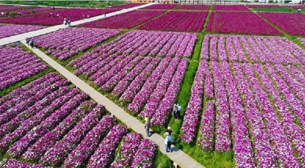 光瑶生态观光园