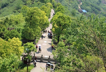 长寿菩提山文化旅游景区第 11 张图片