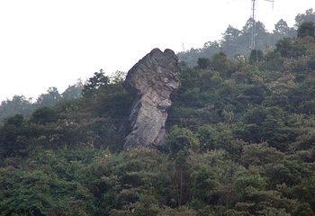 桂江生态旅游景区第 33 张图片