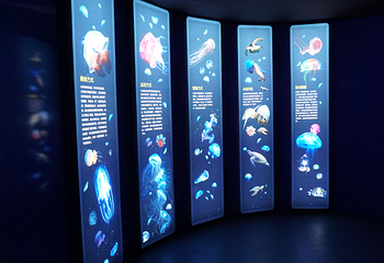 青岛水族馆第 15 张图片