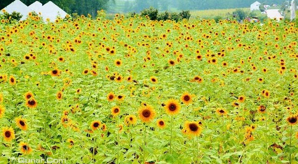 春雨园区水上乐园