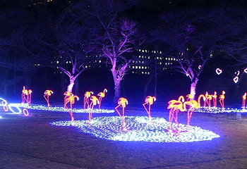 瓦房店市东山公园雪上乐园国际梦幻灯光节第 4 张图片