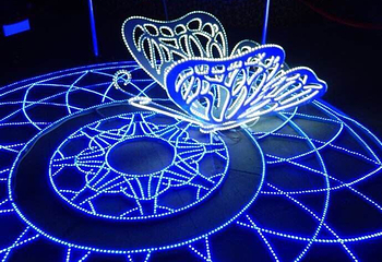 瓦房店市东山公园雪上乐园国际梦幻灯光节第 5 张图片