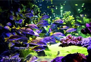 兰州极地海洋世界第 6 张图片