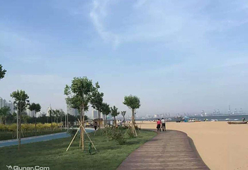 观景木栈道第 1 张图片